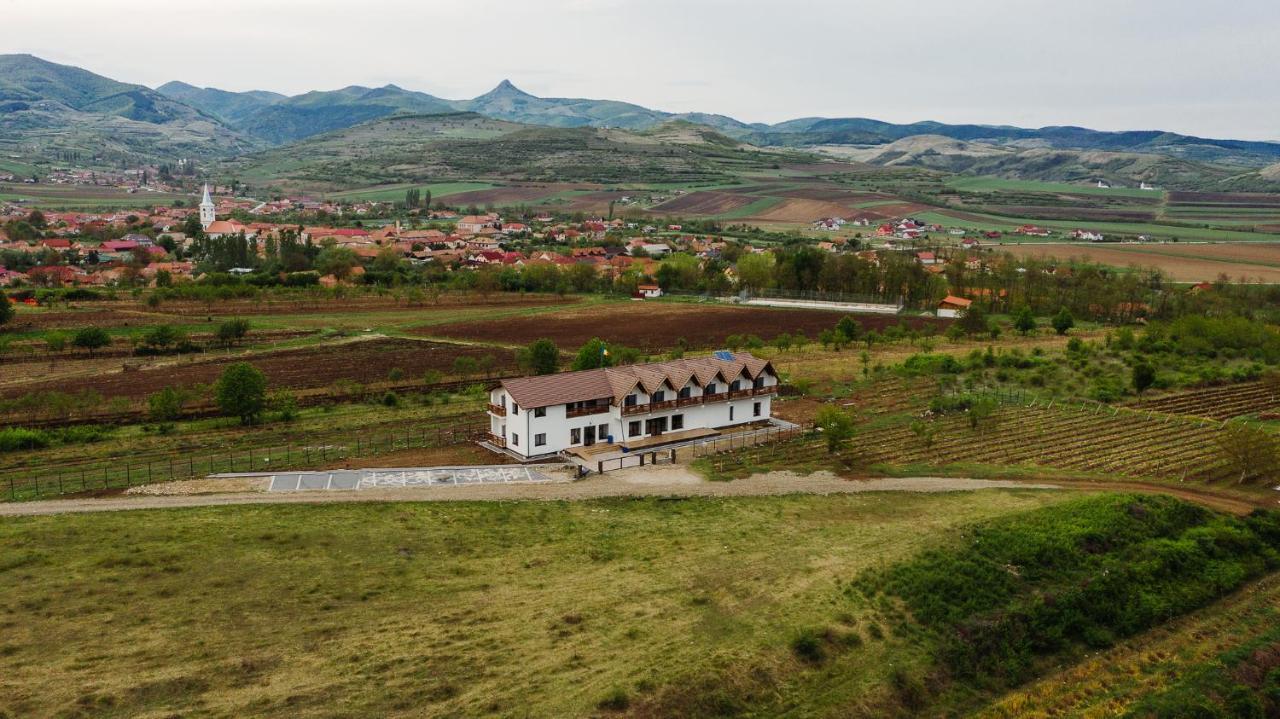 Pensiunea Casa Negrea Ighiu Exterior photo