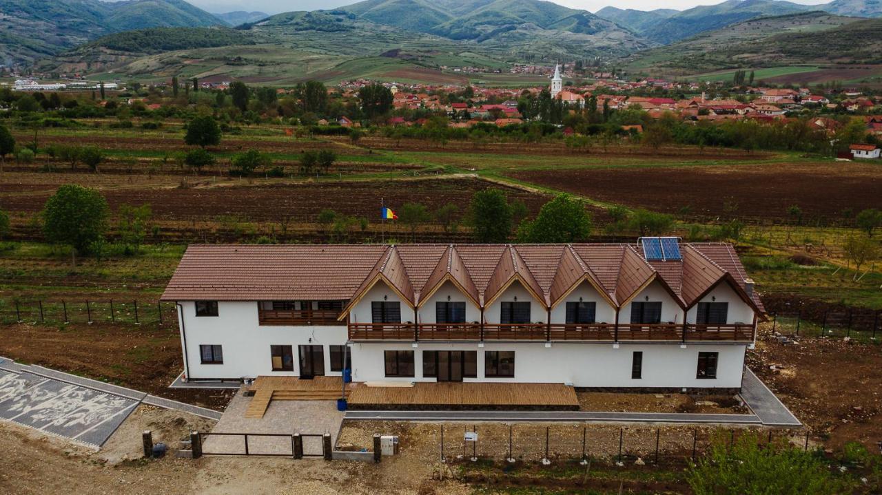 Pensiunea Casa Negrea Ighiu Exterior photo